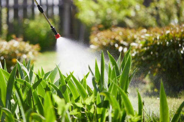 Tamper-Resistant Bait Stations for Rodents in Garretson