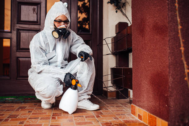 Attic and Crawl Space Rodent Treatment in Garretson