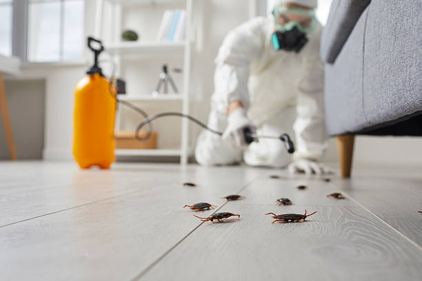 Commercial Rodent Management in Garretson